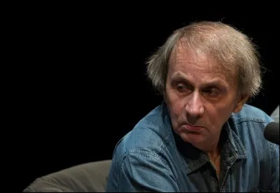 Qu'est-ce qui est le plus souvent au centre du criticisme de Houellebecq ?