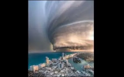 Quel ouragan ravage la Louisiane et permet à Forrest Gump de faire fortune dans le commerce de la crevette ?