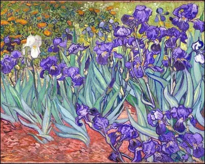 Qui a peint la tableau "Iris violets" ?