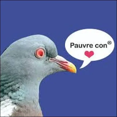 Qui a dit « Casse-toi, pauv' con ! » ?