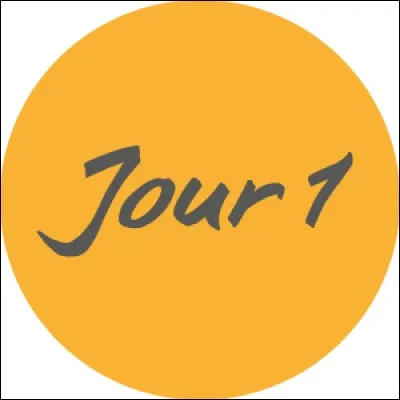 Qui chante "Jour 1" ?