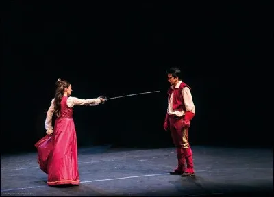 "Le Cid" a &eacute;t&eacute; &eacute;crit par Moli&egrave;re.