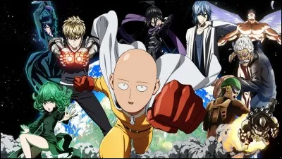 Quel est cet animé ?