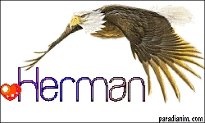 Quel est l'équivalent féminin du prénom Herman ?