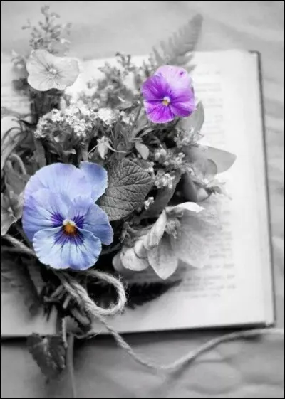 Qui a écrit les paroles "J'ai vu mourir mon père, j'ai vu partir mes frères, et pleurer mes enfants" ?