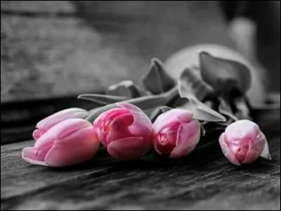 "Il est mort le chanteur... Il avance lentement couché parmi les fleurs, et touché doucement par tout un peuple en pleurs" à qui sont ces paroles ?