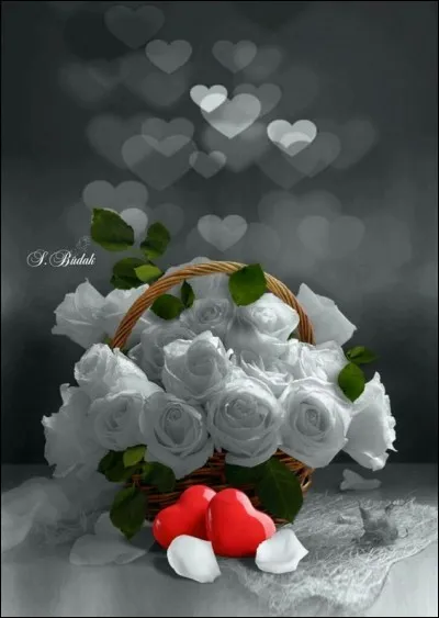 "C'est aujourd'hui dimanche et j'allais voir maman
J'ai pris ces roses blanches elle les aime tant
Sur son petit lit blanc, là-bas elle m'attend
J'ai pris ces roses blanches, pour ma jolie maman" 
Qui fut l'interprète de cette chanson mythique ?