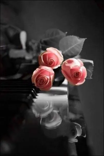 Qui chantait "Petite foule danse autour d'un corps s'endormant, douceur immense pour le départ d'un parent" (Le titre était "Partir avant les miens") ?