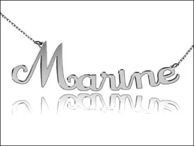 Quelle Marine a été Miss France en 2013 ?