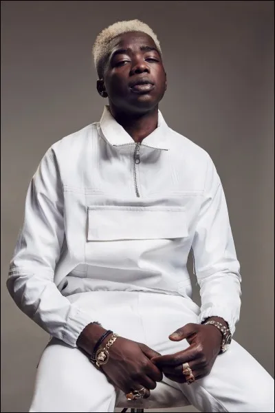 Qui est ce chanteur ?