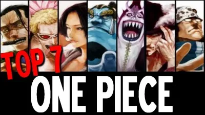 En tout, ... Shichibukai se sont succ&eacute;d&eacute;.