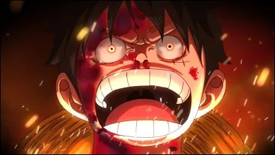 Quelle est la premi&egrave;re prime de Luffy ?