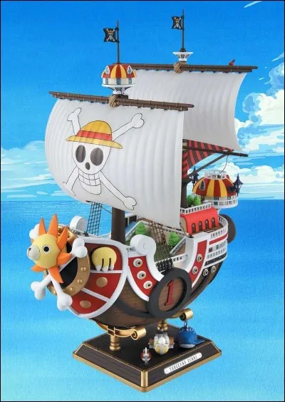 Qui s'entra&icirc;ne et surveille en haut du mat du navire de l'&eacute;quipage au Chapeau de paille ?