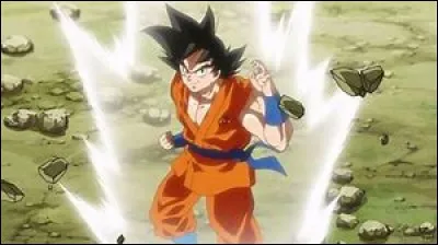 Quel est le nom de Saiyan de Goku ?