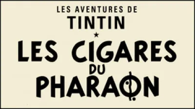 Dans "Les Cigares du pharaon", sur quelle mer Tintin n'a-t-il pas vogué ?