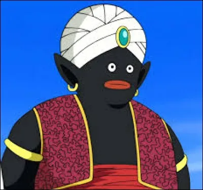 Dans quel manga peut-on voir Mr.Popo ?