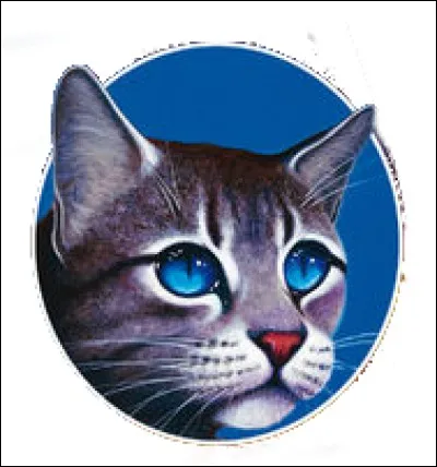 Quelle est ta particularité ?