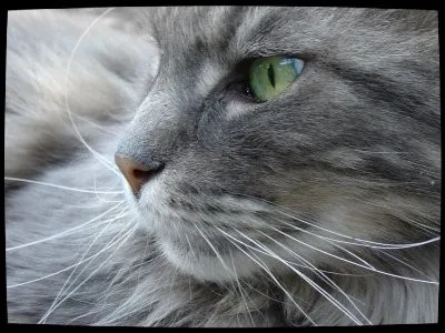 Tu as rendu service à ton clan...