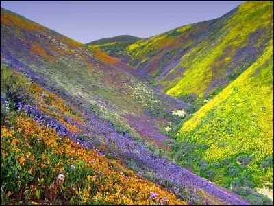 Dans quel pays se trouve le parc national de la vallée des Fleurs de la région d'Uttarakhand ?