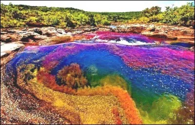Dans quel pays la rivière aux cinq couleurs de la Serrania de la Macarena coule-t-elle ?