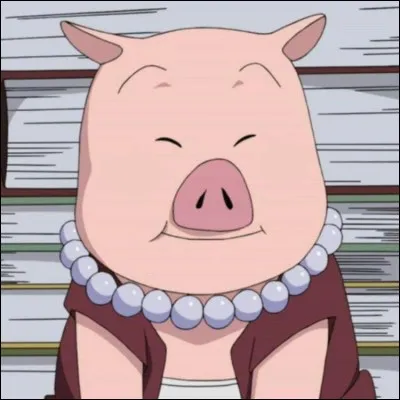 Tonton, le cochon de Shizune ! Que lui manque-t-il ?