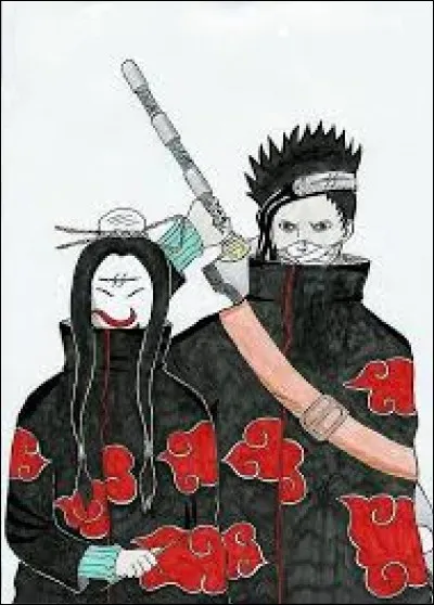Que chasse l'Akatsuki, et pourquoi ?