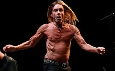 Quelle chanson est d'Iggy Pop ?