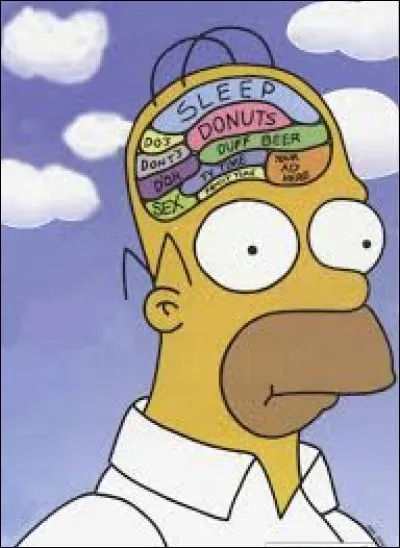 Inculte, empoté, idiot, stupide, je rajoute nigaud !