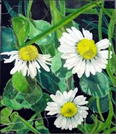 Si votre score est au ras des pâquerettes il sera forcément :