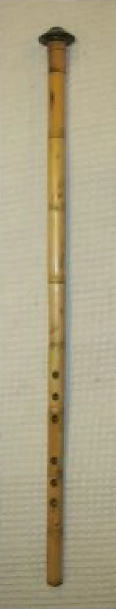 Qui a écrit " Le Noir et le Rouge" ?