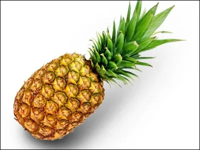Un ananas se traduit par :