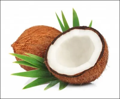 Une noix de coco se traduit par :