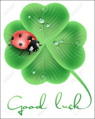 Un trèfle se traduit par :