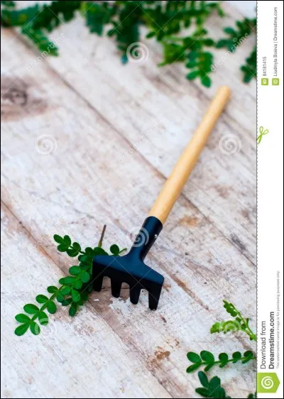 Un râteau se traduit par :