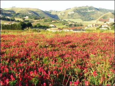 Comment se nomme le principal massif montagneux de Sicile, classé comme parc naturel et situé dans le nord-est de l'île ?