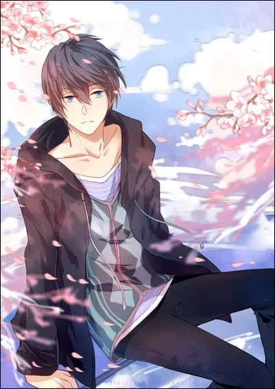 Quel est le nom du manga dans lequel apparaît ce personnage ?