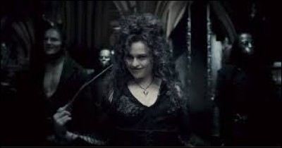 Combien de personnes ont été tuées par la plus sadique des Mangemorts, Bellatrix Lestrange ? (Les personnes qui sont citées juste dans les livres)