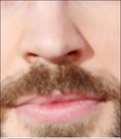 Qui est cet acteur qui a joué dans "Les Quatre Fantastiques" ?