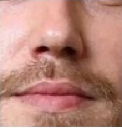 Qui est ce chanteur qui a interprété "Les Limites" ?