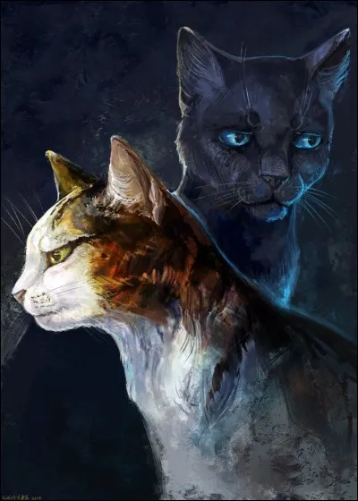 Comme celui qui écrit ta fanfiction est original, tu vas tomber amoureux d'une chatte d'un autre clan. Que devrais-tu faire ?