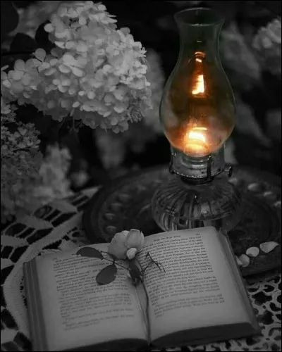 "Nous nous réveillons tous au même endroit du rêve. Tout commence en ce monde, et tout finit ailleurs" est une phrase extraite du recueil "Les Rayons et les Ombres". Qui en est l'auteur ?