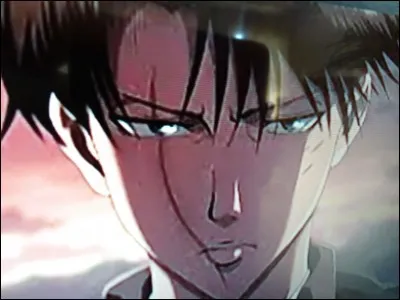 Quel est le nom de Livaï ?