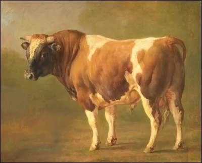 Retrouvez l'expression correcte :