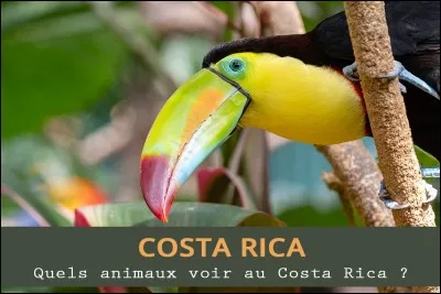 Quels animaux peuvent pondre des oeufs tachet&eacute;s ?