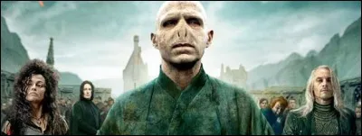 Quel personnage aimes-tu le moins dans la s&eacute;rie ''Harry Potter'' ?