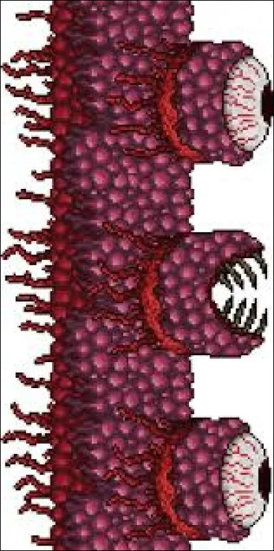 Que peut-on dire sur ce boss (image ci-contre) ?