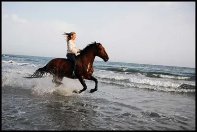 Comment s'appelle cette monte ?