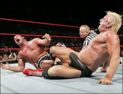 Comment s'appelle  la prise de soumission de Ric flair ?