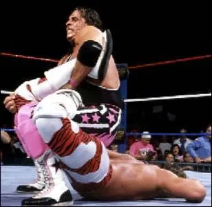Comment s'appelle  la prise de soumission de Bret Hart ?