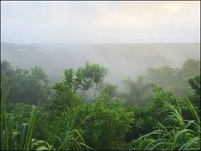 Le mont Hillaby est le point le plus haut de la Barbade : &agrave; quelle altitude culmine-t-il ?